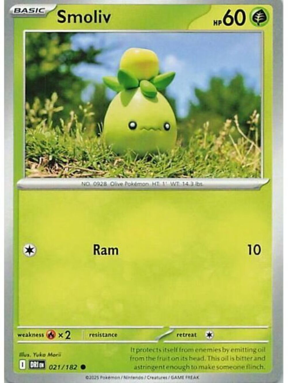 Pokemon TCG 2025 Smoliv LP DRI